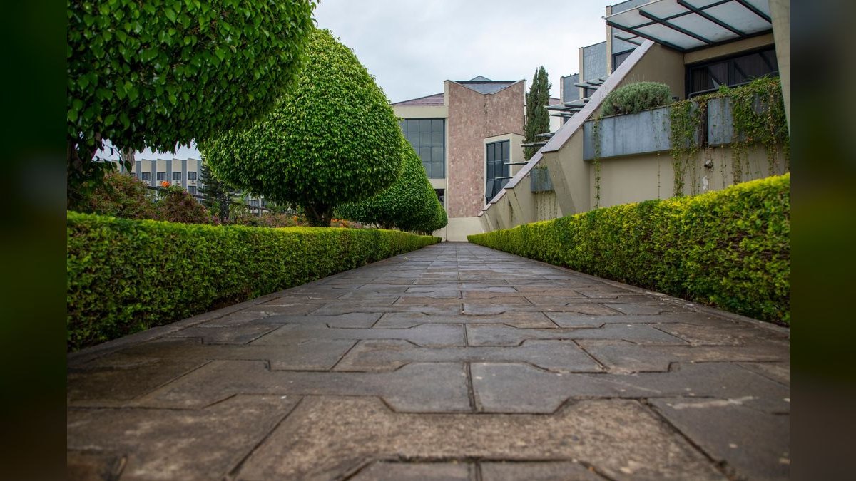 The 10 Best Hedge Trimmers in 2027 — figure 6
