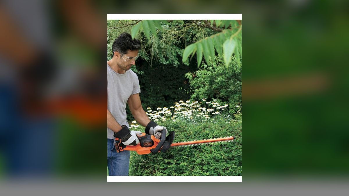 The 10 Best Hedge Trimmers in 2027 — figure 9