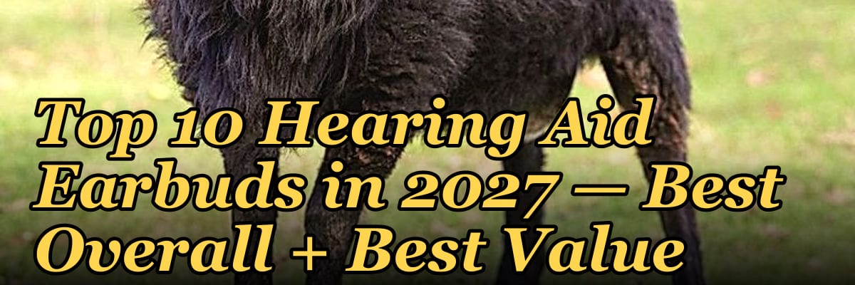 Top 10 Hearing Aid Earbuds in 2027 — Best Overall + Best Value