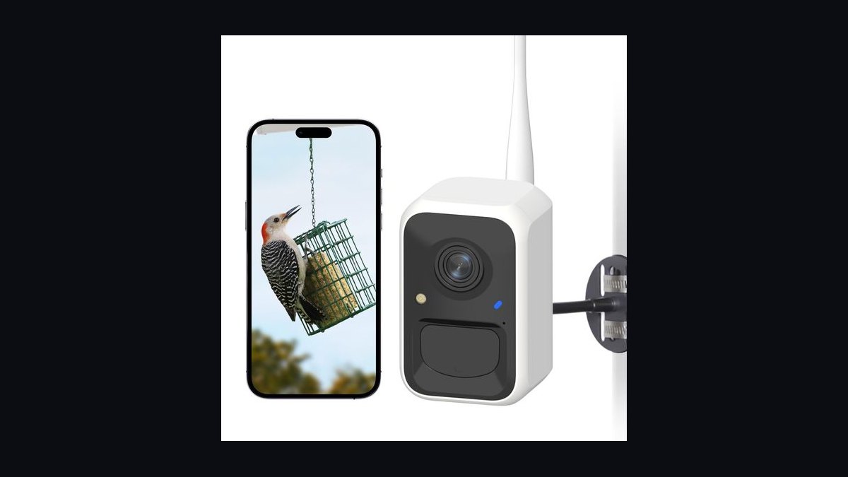 Top 10 Smart Bird Feeder Cameras in 2027 — Best Overall + Best Value — figure 2