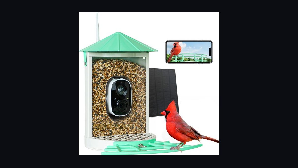Top 10 Smart Bird Feeder Cameras in 2027 — Best Overall + Best Value — figure 3