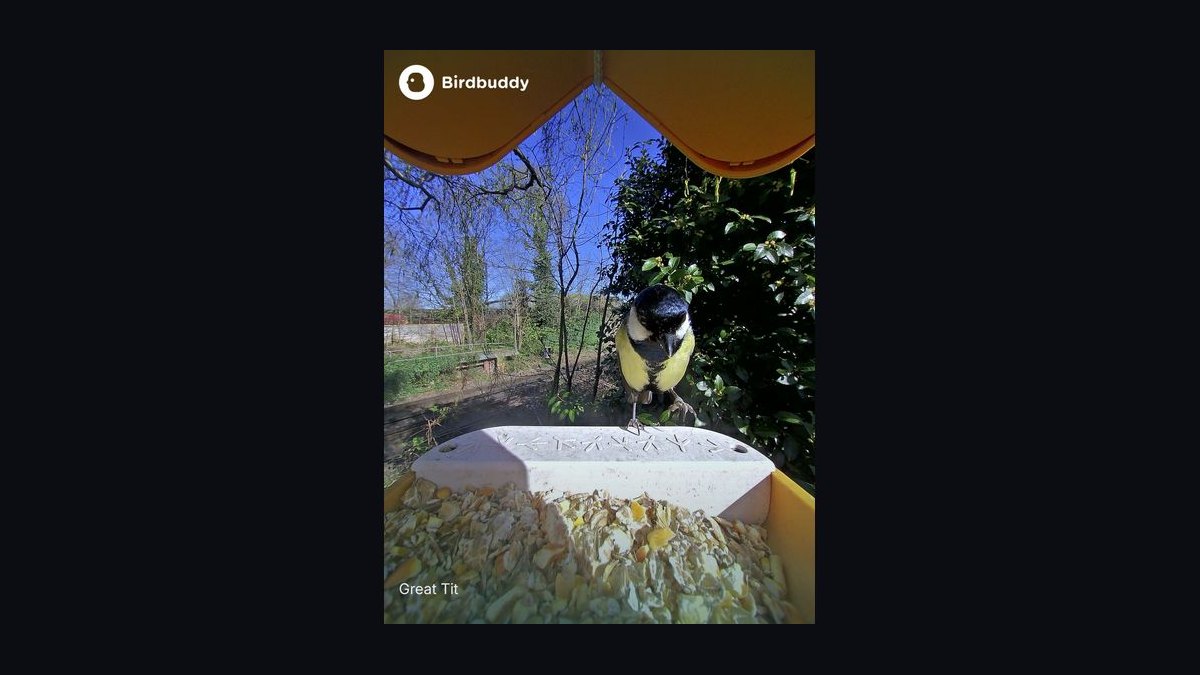 Top 10 Smart Bird Feeder Cameras in 2027 — Best Overall + Best Value — figure 4