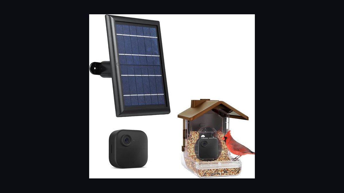 Top 10 Smart Bird Feeder Cameras in 2027 — Best Overall + Best Value — figure 5