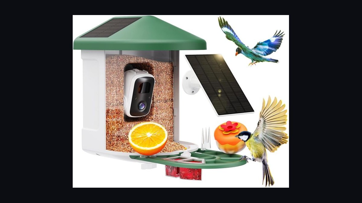 Top 10 Smart Bird Feeder Cameras in 2027 — Best Overall + Best Value — figure 8