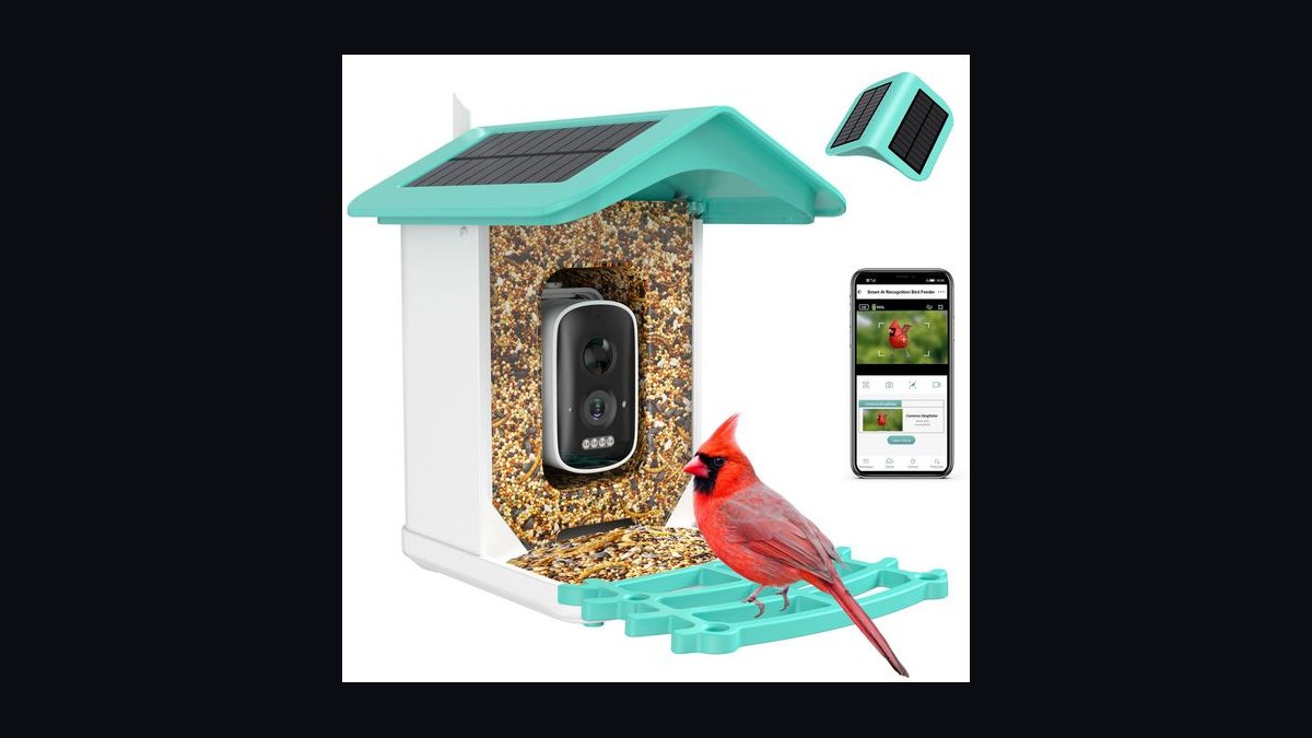 Top 10 Smart Bird Feeder Cameras in 2027 — Best Overall + Best Value — figure 9