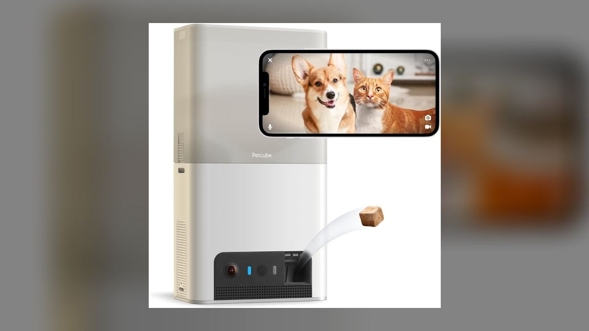 Top 10 Pet Cameras — Best Overall + Best Value in 2027 — figure 3