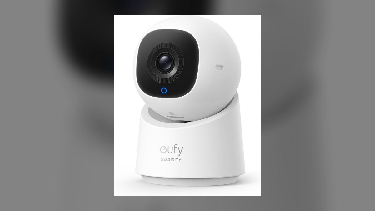 Top 10 Pet Cameras — Best Overall + Best Value in 2027 — figure 4