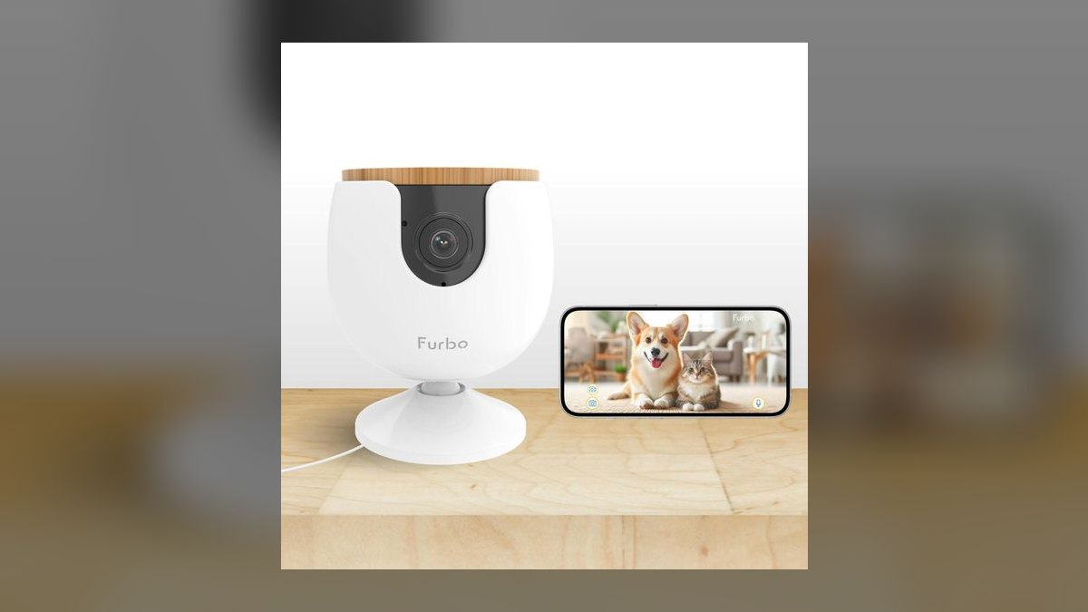 Top 10 Pet Cameras — Best Overall + Best Value in 2027 — figure 6