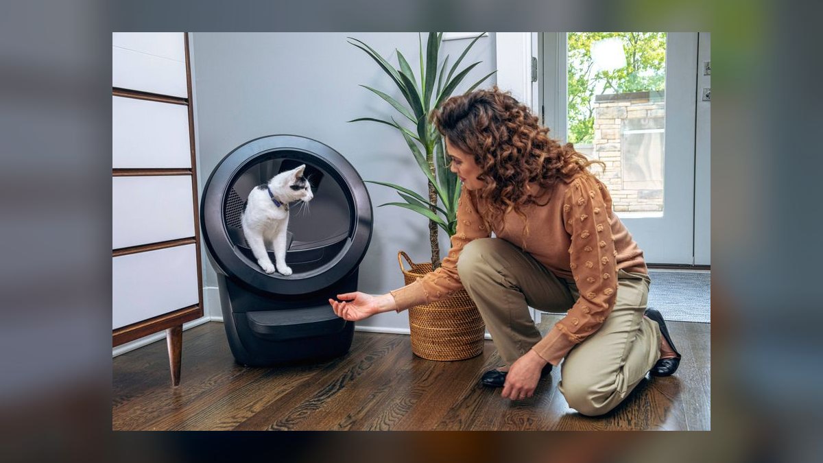 Top 10 Smart Litter Boxes — Best Overall + Best Value in 2027 — figure 1