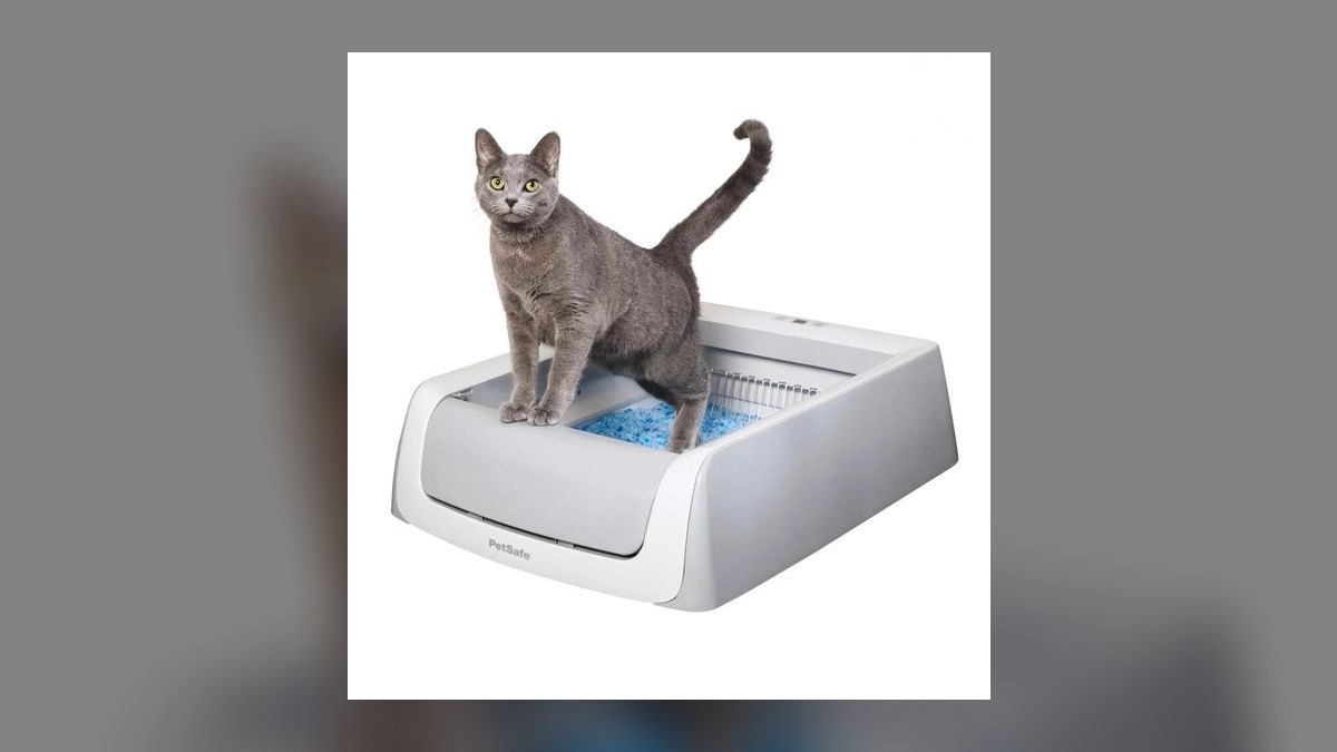 Top 10 Smart Litter Boxes — Best Overall + Best Value in 2027 — figure 10