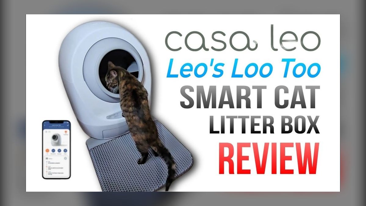 Top 10 Smart Litter Boxes — Best Overall + Best Value in 2027 — figure 2