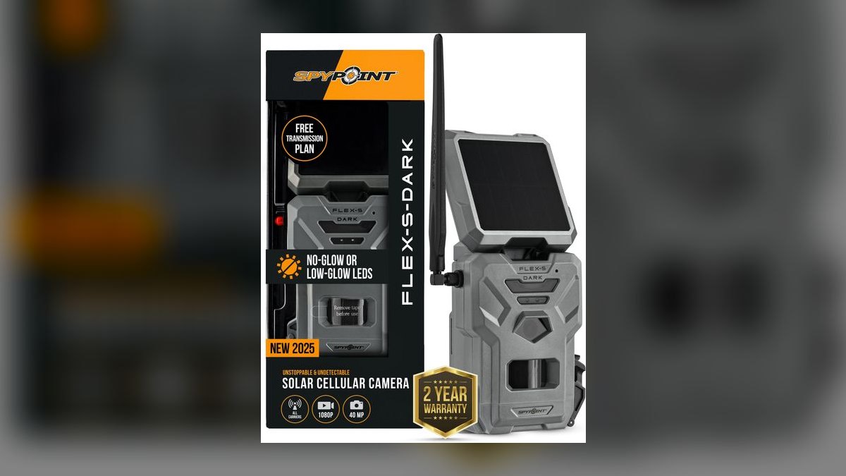 Top 10 Trail Cameras — Best Overall + Best Value in 2027 — figure 2