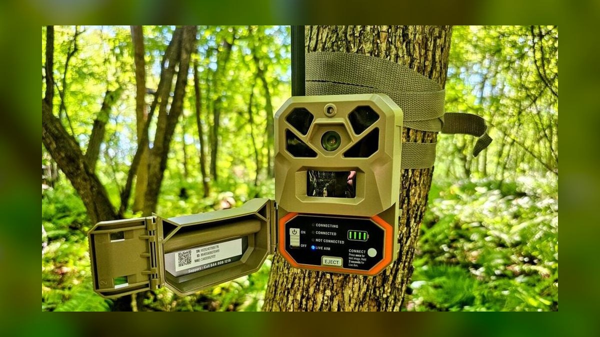 Top 10 Trail Cameras — Best Overall + Best Value in 2027 — figure 3