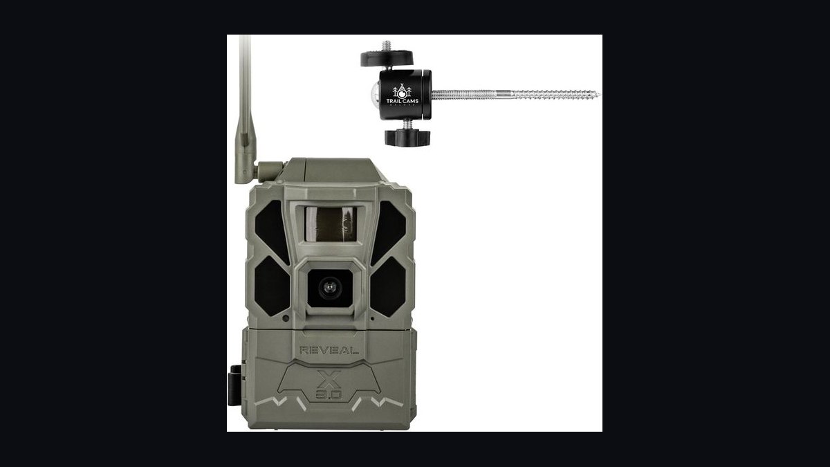 Top 10 Trail Cameras — Best Overall + Best Value in 2027