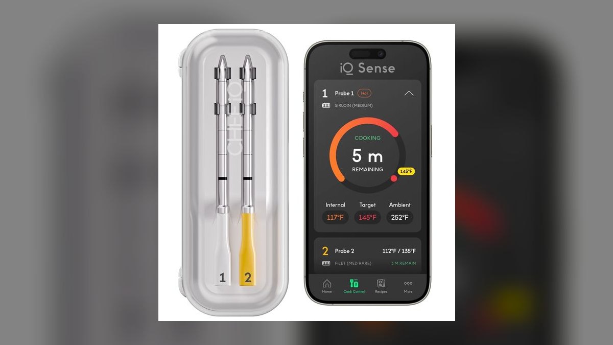 Top 10 Wireless Meat Thermometers — Best Overall + Best Value in 2027 — figure 7