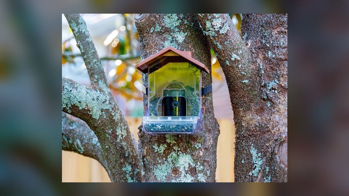 Top 10 Smart Bird Feeders — Best Overall + Best Value in 2027 — figure 10