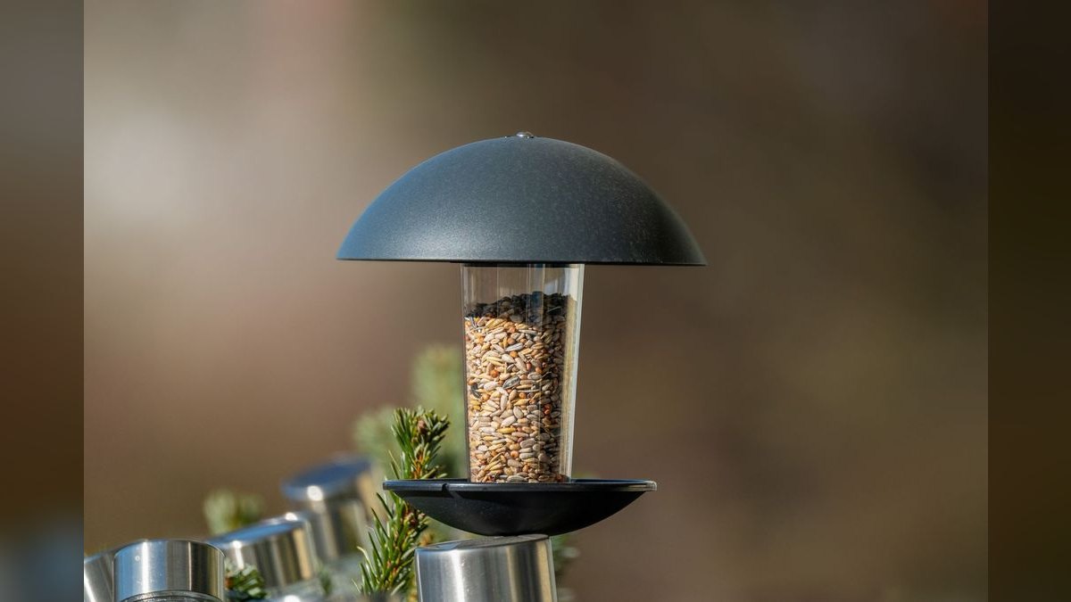 Top 10 Smart Bird Feeders in 2027 — Best Overall + Best Value — figure 2