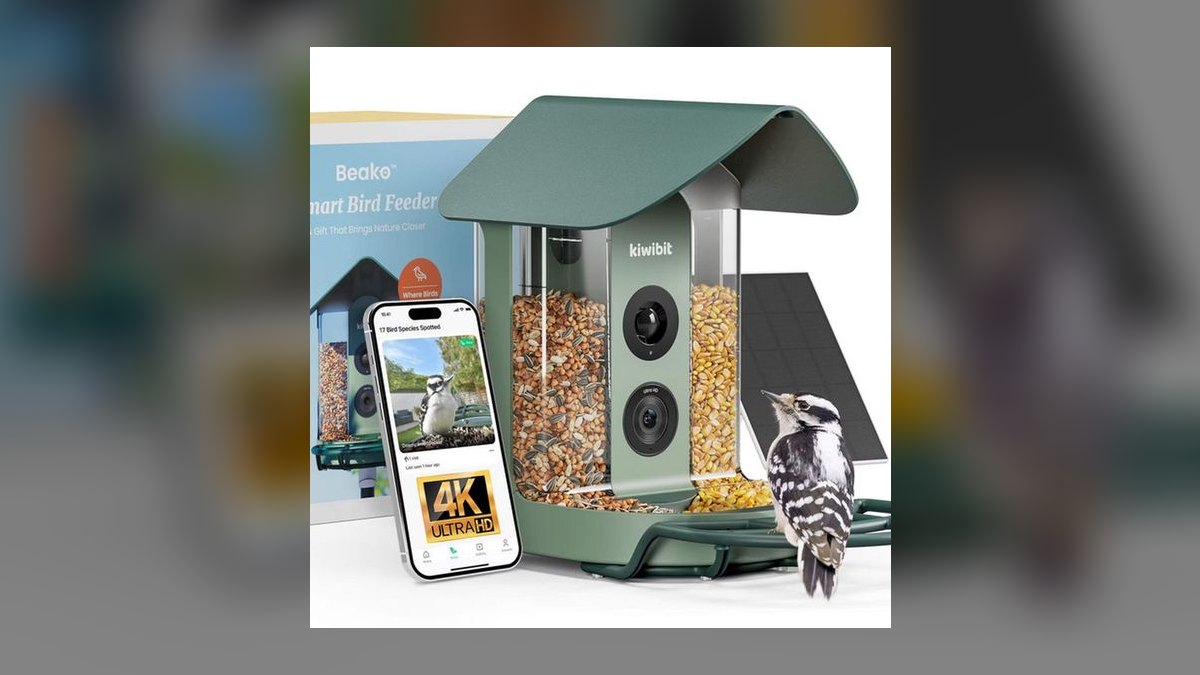 Top 10 Smart Bird Feeders — Best Overall + Best Value in 2027 — figure 8