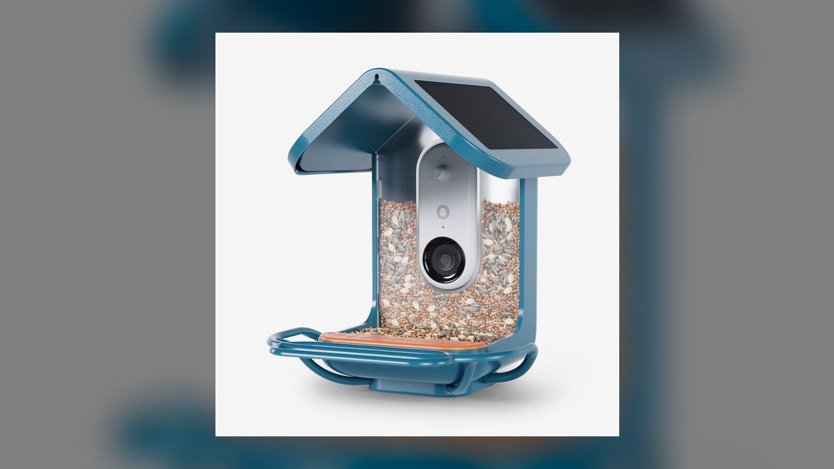 Top 10 Smart Bird Feeders — Best Overall + Best Value in 2027