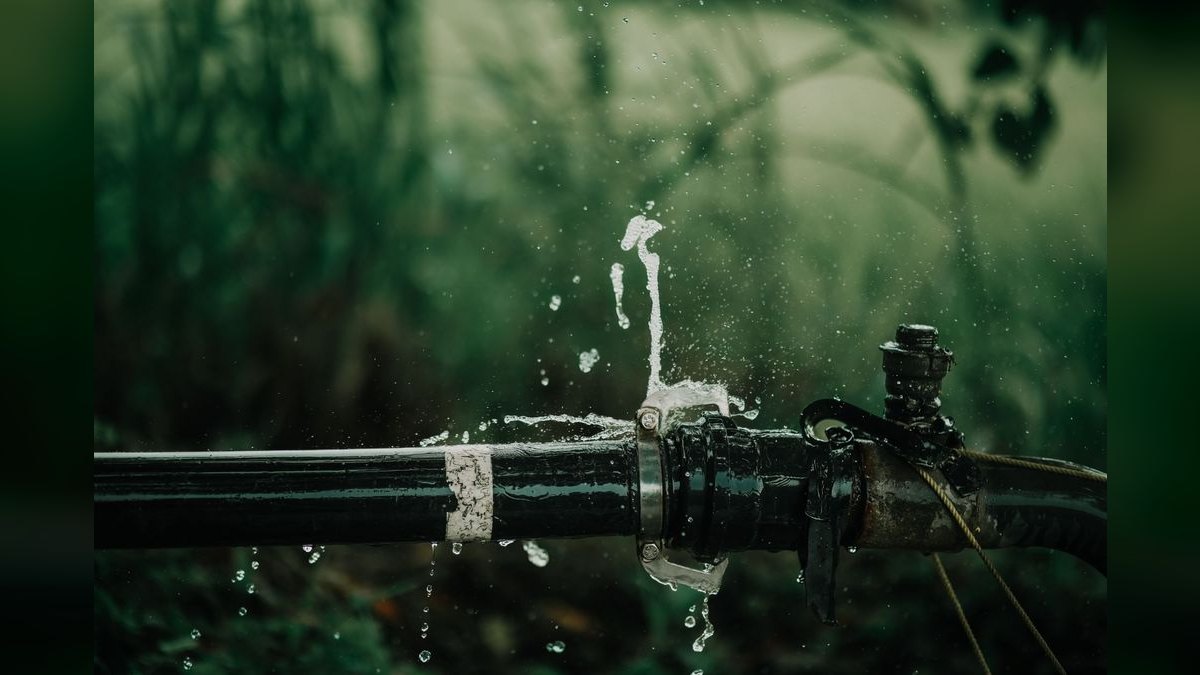 Top 10 Smart Water Leak Detectors in 2027 — Best Overall + Best Value
