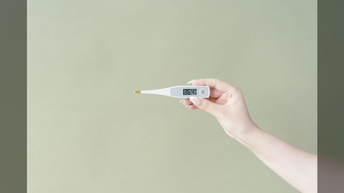 Top 10 Smart Thermometers in 2027 — Best Overall + Best Value — figure 6
