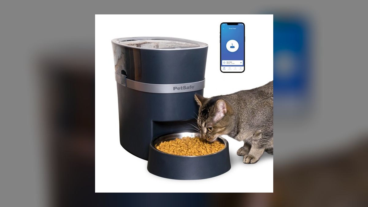 Top 10 Automatic Pet Feeders — Best Overall + Best Value in 2027 — figure 3