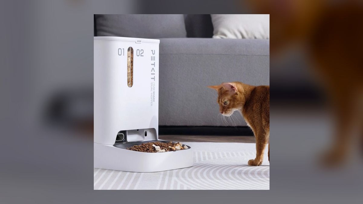 Top 10 Automatic Pet Feeders — Best Overall + Best Value in 2027 — figure 5