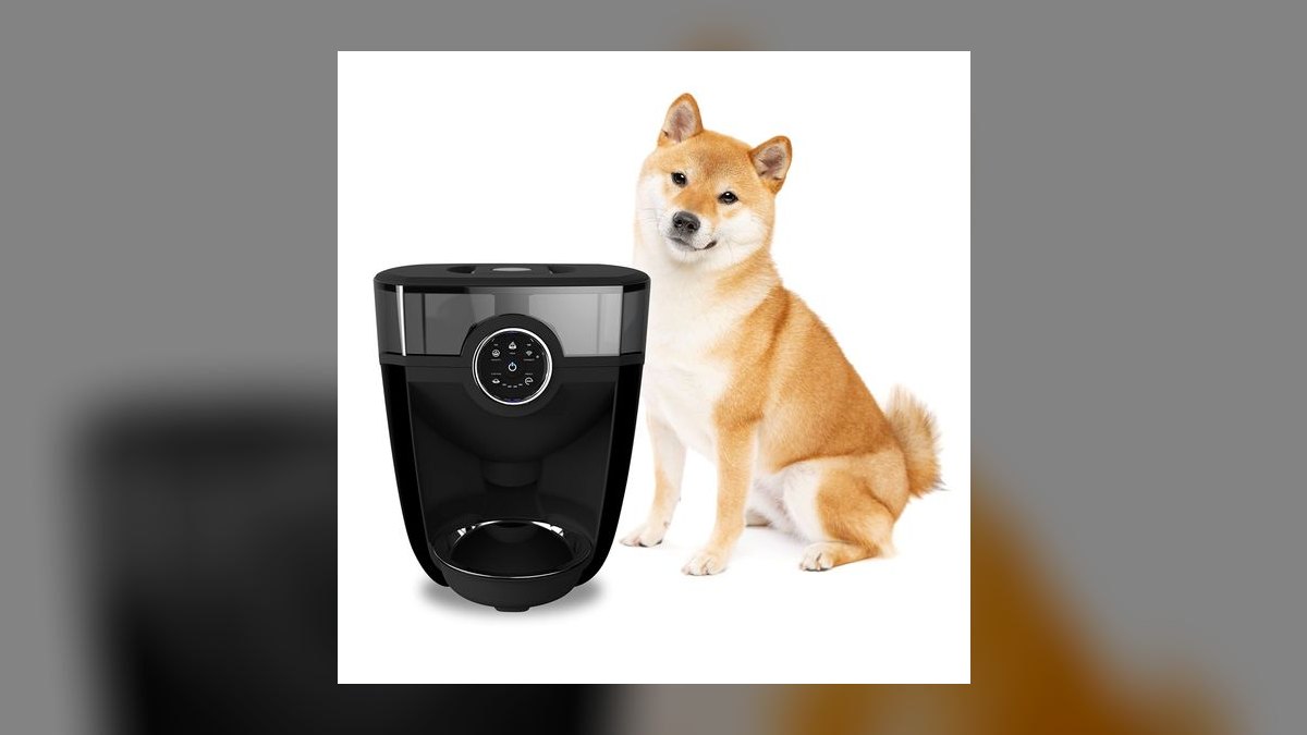 Top 10 Automatic Pet Feeders — Best Overall + Best Value in 2027