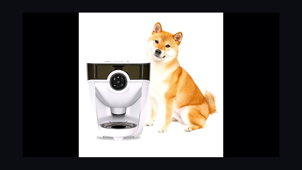 Top 10 Automatic Pet Feeders — Best Overall + Best Value in 2027