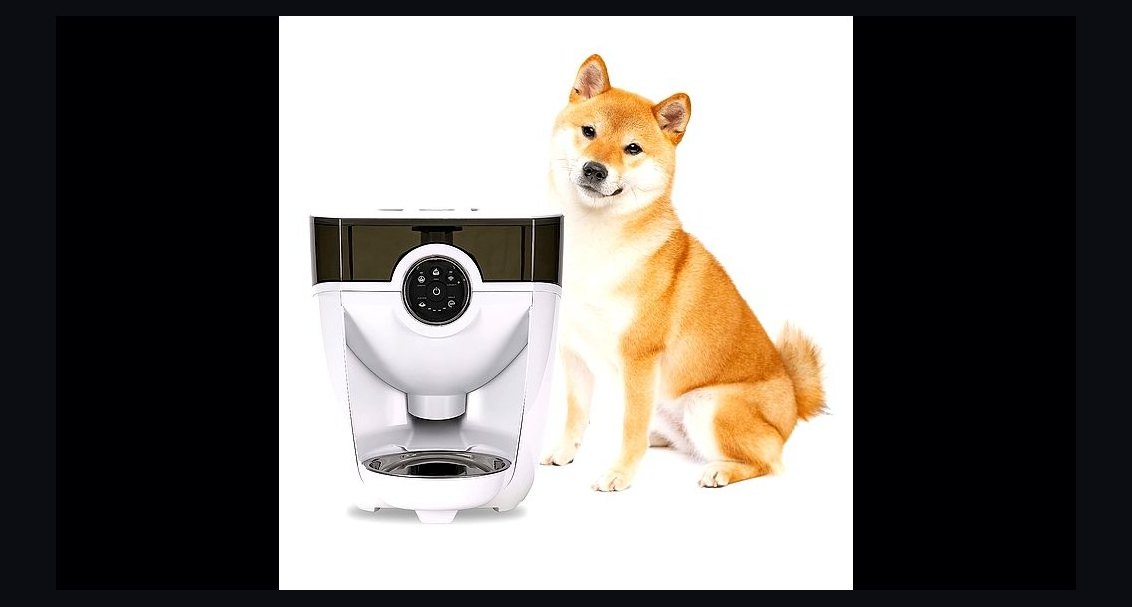 Top 10 Automatic Pet Feeders — Best Overall + Best Value in 2027