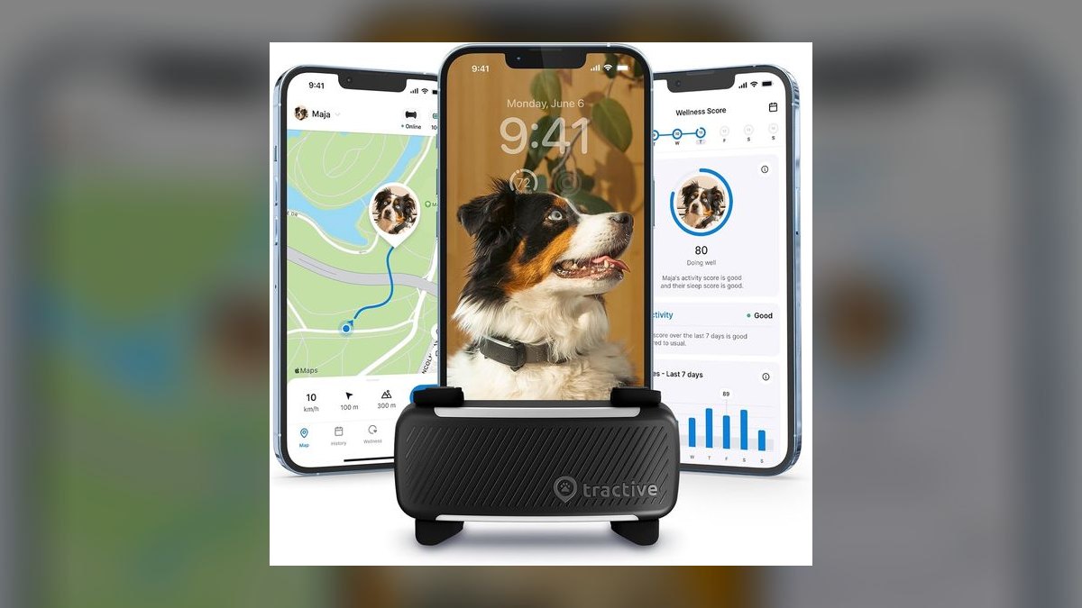 Top 10 Dog GPS Trackers — Best Overall + Best Value in 2027 — figure 1