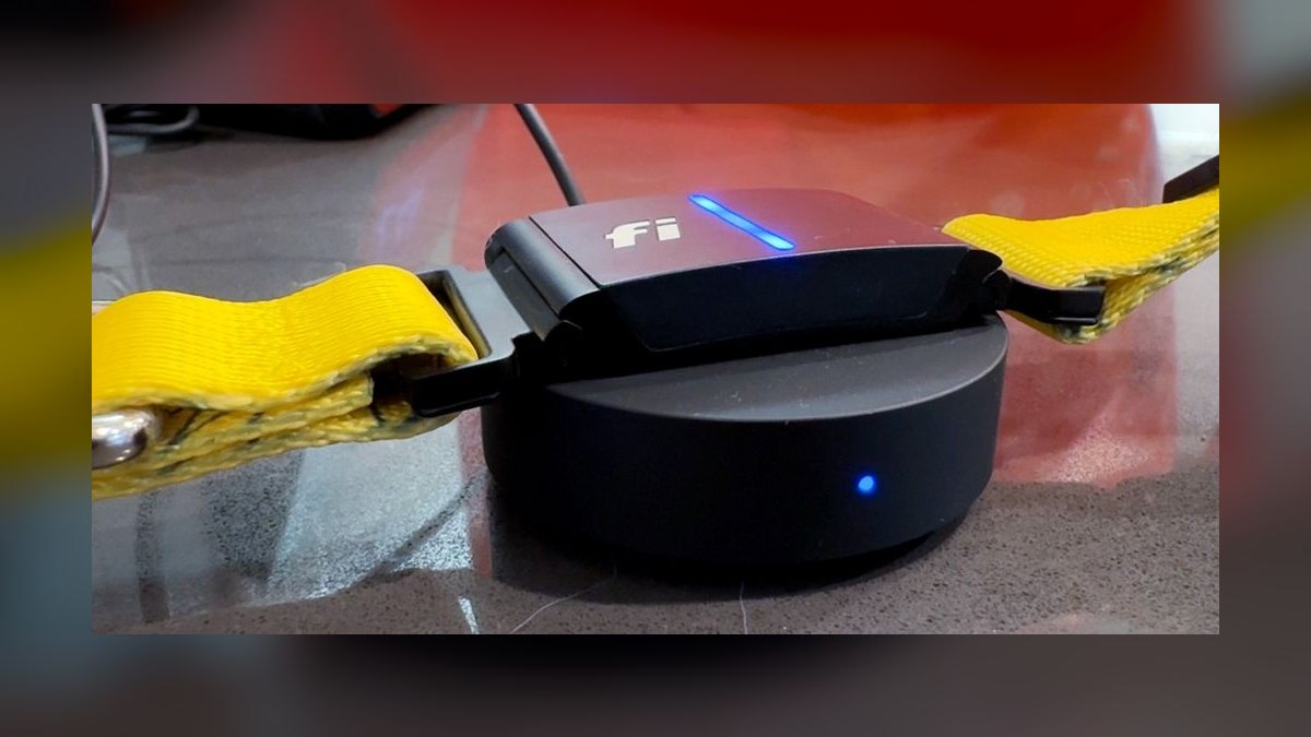 Top 10 Dog GPS Trackers — Best Overall + Best Value in 2027 — figure 2