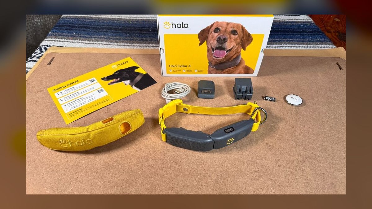 Top 10 Dog GPS Trackers — Best Overall + Best Value in 2027 — figure 3