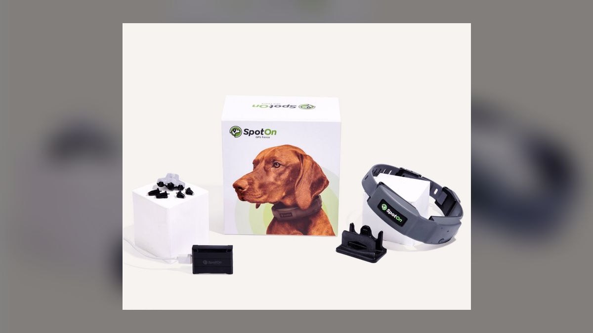 Top 10 Dog GPS Trackers — Best Overall + Best Value in 2027 — figure 4