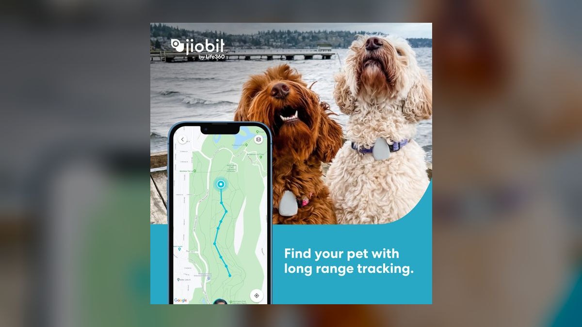 Top 10 Dog GPS Trackers — Best Overall + Best Value in 2027 — figure 7