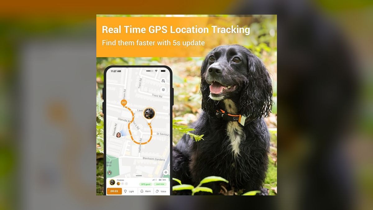 Top 10 Dog GPS Trackers — Best Overall + Best Value in 2027 — figure 8