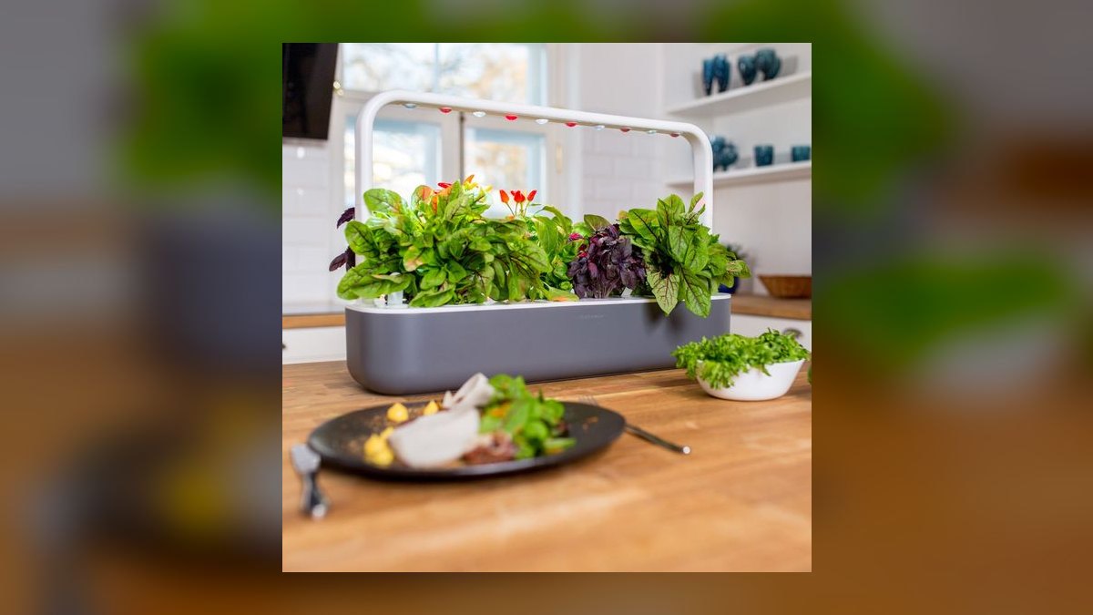 Top 10 Indoor Smart Gardens — Best Overall + Best Value in 2027 — figure 4