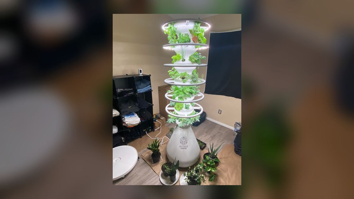 Top 10 Indoor Smart Gardens — Best Overall + Best Value in 2027 — figure 6