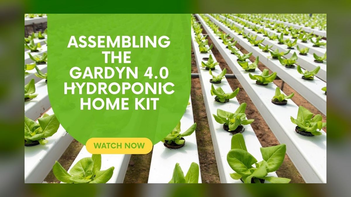 Top 10 Indoor Smart Gardens — Best Overall + Best Value in 2027