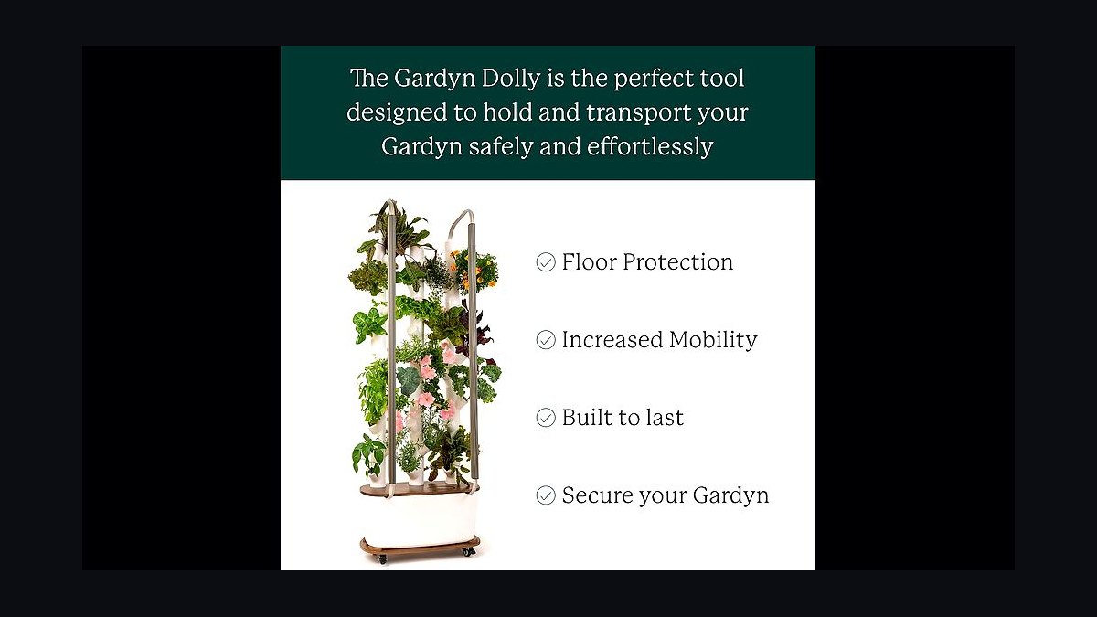 Top 10 Indoor Smart Gardens — Best Overall + Best Value in 2027
