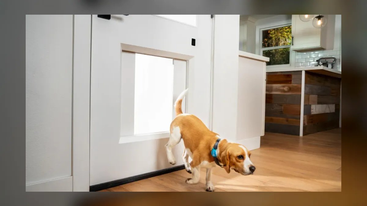 Top 10 Smart Pet Doors — Best Overall + Best Value in 2027 — figure 10
