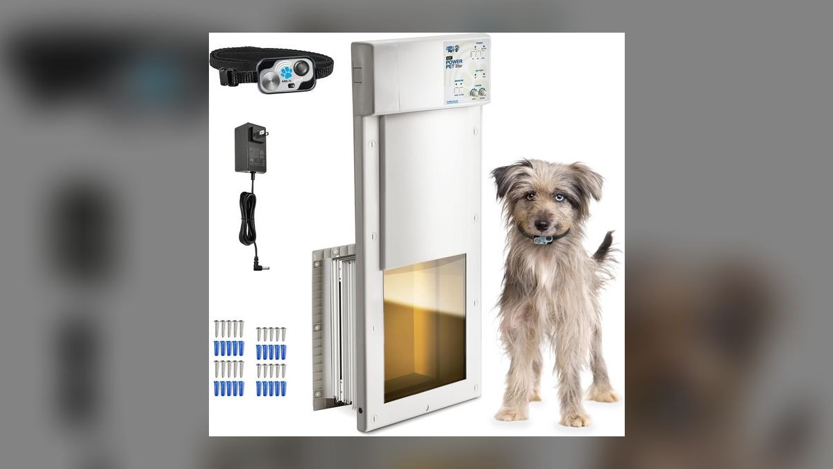 Top 10 Smart Pet Doors — Best Overall + Best Value in 2027 — figure 5