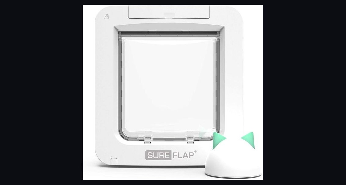 Top 10 Smart Pet Doors — Best Overall + Best Value in 2027