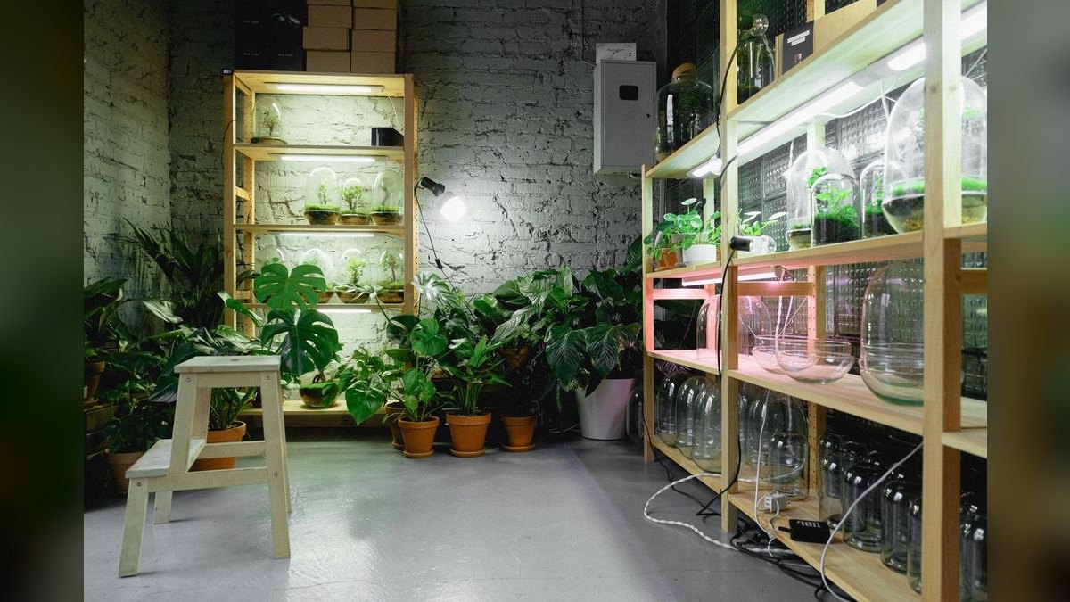 Top 10 LED Grow Lights in 2027 — Best Overall + Best Value — figure 1