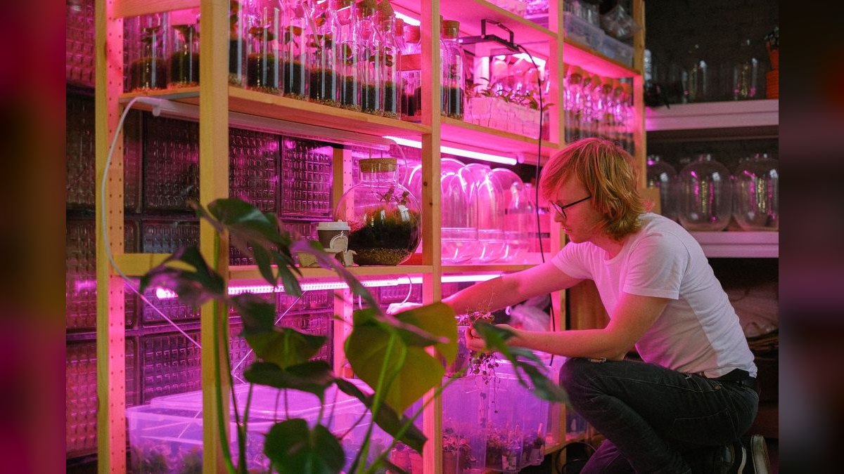 Top 10 LED Grow Lights in 2027 — Best Overall + Best Value — figure 3