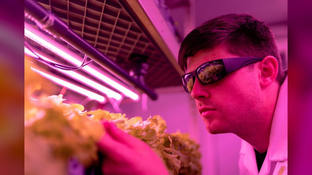 Top 10 LED Grow Lights in 2027 — Best Overall + Best Value — figure 4