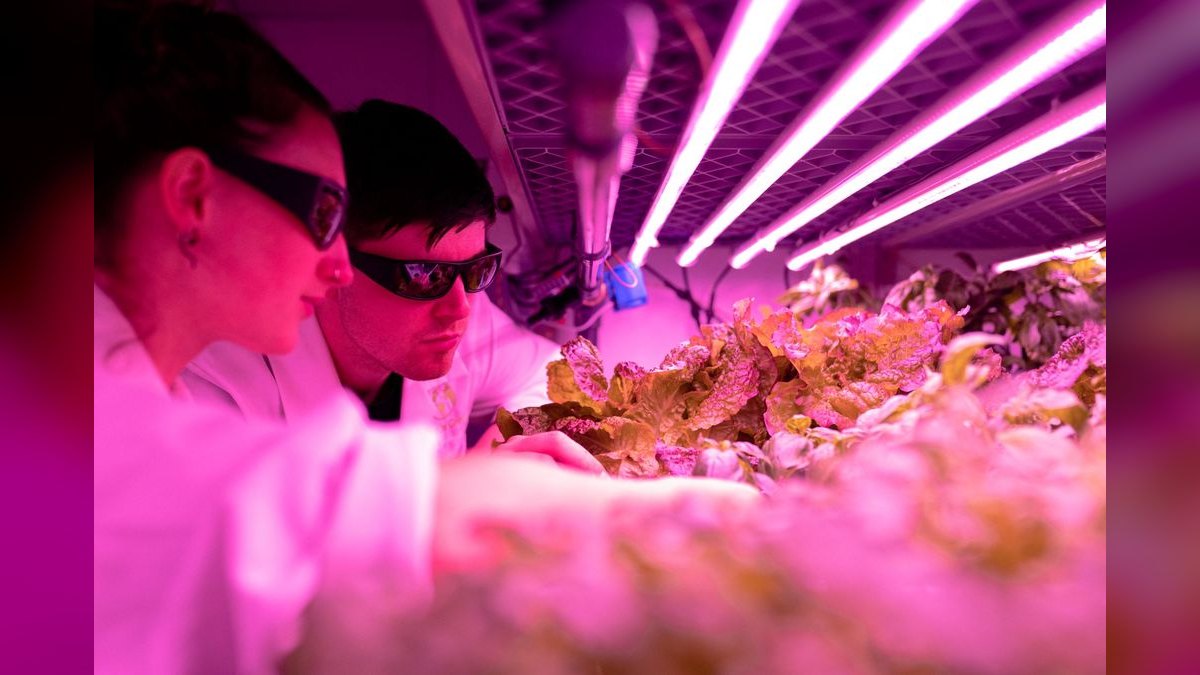 Top 10 LED Grow Lights in 2027 — Best Overall + Best Value — figure 5