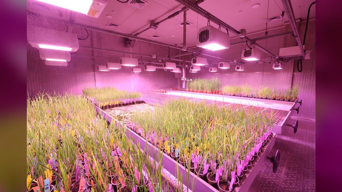 Top 10 LED Grow Lights in 2027 — Best Overall + Best Value — figure 6