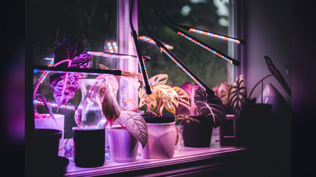 Top 10 LED Grow Lights in 2027 — Best Overall + Best Value