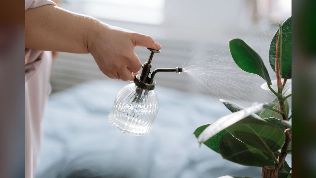 Top 10 Cool Mist Humidifiers in 2027 — Best Overall + Best Value — figure 4